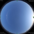 1586260619.jpg