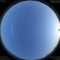 1586261339.jpg