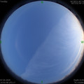 1586263560.jpg