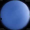 1586266052.jpg