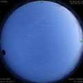 1586266292.jpg