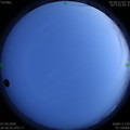 1586266592.jpg