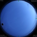 1586267402.jpg
