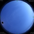 1586267838.jpg