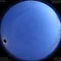 1586268078.jpg