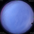 1586298918.jpg