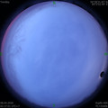 1586299038.jpg