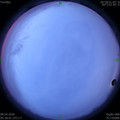 1586299098.jpg