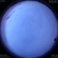 1586299248.jpg