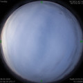 1586304411.jpg