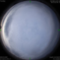 1586305851.jpg