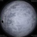 1586310489.jpg