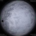 1586310549.jpg