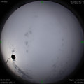 1586314811.jpg