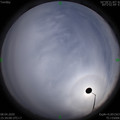 1586335161.jpg