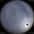 1586337502.jpg