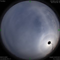 1586338102.jpg