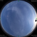 1586345186.jpg