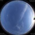 1586345786.jpg