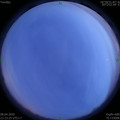 1586355346.jpg