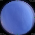 1586355481.jpg