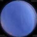1586355541.jpg