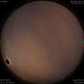 1586358722.jpg