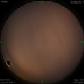 1586359338.jpg