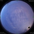 1586384430.jpg