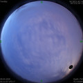 1586384490.jpg