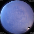 1586384550.jpg