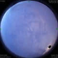 1586384610.jpg