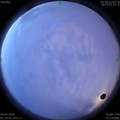 1586384670.jpg
