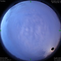 1586384820.jpg