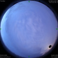 1586384880.jpg