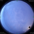 1586384940.jpg