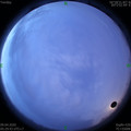 1586385015.jpg