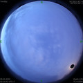 1586385075.jpg