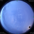 1586385135.jpg