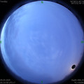 1586385271.jpg
