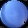 1586385346.jpg