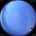 1586385406.jpg