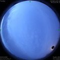 1586385481.jpg