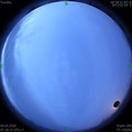 1586385541.jpg