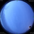 1586385601.jpg