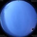 1586385676.jpg