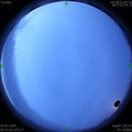 1586385736.jpg