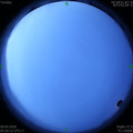 1586386231.jpg