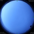 1586386426.jpg