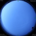 1586386501.jpg